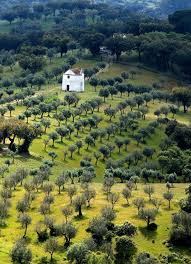 Pin By Julia Greenberg On Graphics Photos Beautiful Places Extremadura Places To Visit