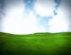 Image of 744 field hd wallpapers background images wallpaper abyss. Top 30 Grass Field Gifs Find The Best Gif On Gfycat