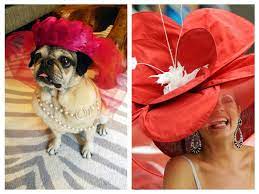 Cute Lists On Ranker Dog Hat Dog Party Kentucky Derby Hats