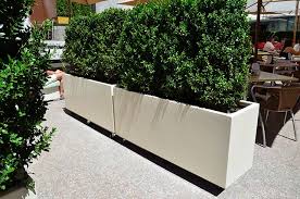 Deepstream Designs Movable Garden Planters On Casters Rooftop Planters Large Diy Planters Rectangular Planters