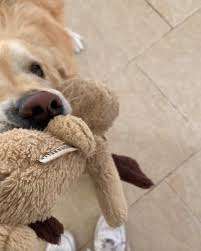 three laps around the sun!! happy birthday to me 🎉 here's a little look  back in to the last three years