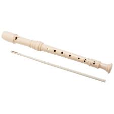 The recorder is most children's starter instrument. Recorder Big W