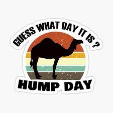 Now, almost two years later, a lot of people are sick of the ad — including the camels. Hump Day Stickers Redbubble