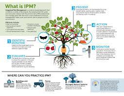 Homeowners can perform their own pest inspection, but may need the help of a professional to identify pests. What Is Ipm Southern Ipm Center