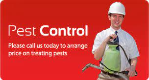 We also provide flood restoration and pest control for domestic homes. Carpet Cleaning Brisbane Steam Carpet Cleaning Pest Control