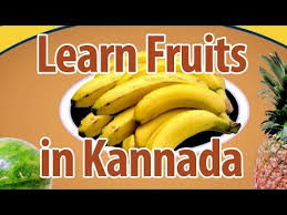 learn names of fruits in kannada learn fruits pre school