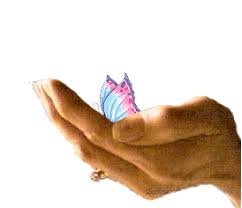 Now today i am share with you jumma mubarak wishes quotes and images in hd quality. Butterflies Animated Images Gifs Pictures Animations 100 Free