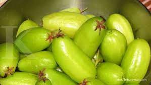 Khasiat belimbing wuluh ternyata bisa un. 6 Manfaat Belimbing Wuluh Sebagai Obat Herbal Yang Harus Anda Ketahui