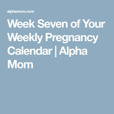 Weekly Pregnancy Calendar Week 7 Blog Weekly Pregnancy Calendar Pregnancy Calendar 20 Weeks Pregnant