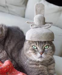 Nagi noda was an eccentric japanese artist, director and fashion designer. Cats Wearing Hats Made From Their Own Hair