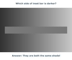 Which Side Of The Inset Bar Is Darker Optical Illusions Illusions Optical Illusions For Kids