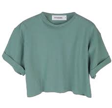 Pin By Kaitlyn Hale On Green Pngs Colorful Crop Tops Crop Shirt T Shirt Crop Top