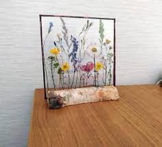 If you have some free time, buy this kit to have some fun. Pressed Flower Art Pressed Flowers In Glass Real Pressed Etsy In 2021 Pressed Flower Art Pressed Flowers Diy Pressed Flowers
