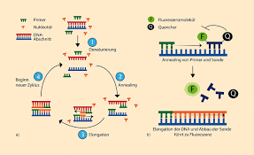 At their simplest, they are dipsticks with a sample application pad at one end, a reading zone where the signal is generated in the middle and an absorbent material at the other end. Nachweismethoden Von Sars Cov 2 Witt 2020 Chemie In Unserer Zeit Wiley Online Library