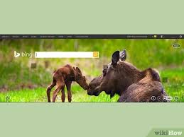 How To Download The Bing Daily Image To Your Pc 11 Steps Bing daily wallpaper synchronous update every day. how to download the bing daily image to