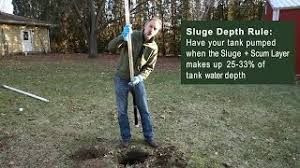 After discharge from the septic tank into the secondary treatment system, aerobic bacteria once again is growing due to a limited amount of oxygen in the soils, helping to break down the 70 to 80% raw sewage that passed through the septic tank. When Should I Pump My Septic Tank Youtube