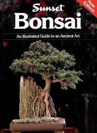 Should install this ebook, i impart downloads as a pdf, amazondx, word, txt, ppt, rar and zip. Bonsai Sunset Books 9780376030450 Amazon Com Books