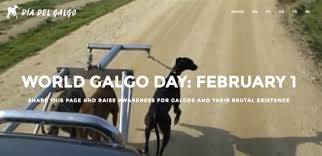 1 de febrero de 2021. Marsch Fur Die Galgos Welt Galgo Tag Dia Del Galgo World Galgo Day Sos Galgos