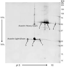 Cvs caremark administers the prescription benefit plan for the avastin hmsa 12/2018. Proteins From Avastin Bevacizumab Show Tyrosine Nitrations For Which The Consequences Are Completely Unclear