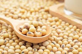 Maybe you would like to learn more about one of these? How To Cook Dried Soy Beans Healthy Recipe Videos Soy Beans Cooking Dried Beans