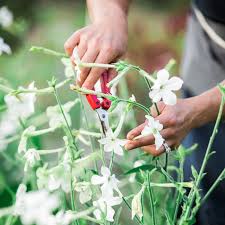 Shop proflowers® & send fresh flowers to loved ones in asheville! Flourish Flower Farm Boutique Farm Floral Design Asheville Nc Mountain Fresh Flowers