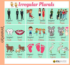 It is possible for two or more words to be used together as a noun. Common Irregular Plural Nouns In English Eslbuzz Learning English