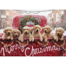 Avanti Press Lab Puppies In Red Truck Box Of 10 Dog Christmas Cards Walmart Com Walmart Com 4 how to draw a christmas puppy youtube art for kids hub art for kids hub on the app store