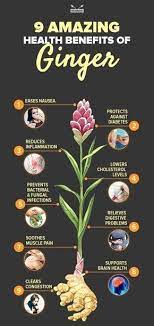 Pin By Mithran On Martha Health Ginger Benefits Health Benefits Of Ginger Health Benefits