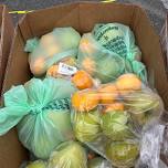 Food Distribution