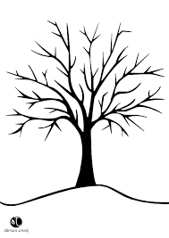 12 Luxe De Dessin D'arbre Sans Feuille Photos - Coloriage | Coloriage arbre,  Dessin arbre, Arbre automne