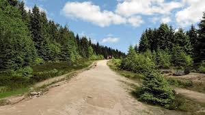 Der nationalpark harz besticht besonders durch die vielfalt seiner naturausstattung. Nationalpark Harz