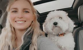 Has anyone seen a lost dog in Mary Esther or Navarre?