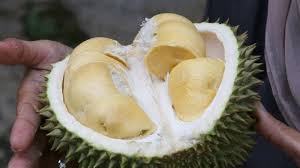 Check spelling or type a new query. Bisa Mati Mendadak Jangan Makan Durian Dengan 7 Makanan Minuman Ini Halaman All Tribun Pontianak