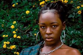 Ever since corona started, we've all been in. Kenyan Teen S Hilarious Take On Life Under Covid 19 S New Normal Is A Hit Worldwide Africa Briefing