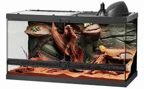 How To Create A Proper Day Night Cycle In Your Terrarium Since the bearded dragon's native environment is a warm, dry place with little humidity, their habitat must be as well.
