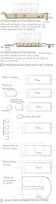 Phytoepuration Creer Un Filtre Plante Build Green