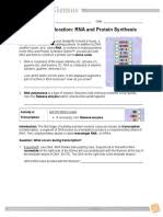 Student exploration rna and protein synthesis answer key activity b. Rnaproteinsynthesisse Key Translation Biology Rna