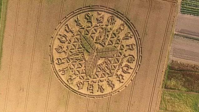 Amazing crop circles appear in Dorset