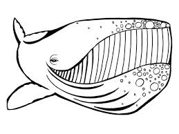 You can see him diving deep for some plankton food, or doing a back flip out of the water, and blowing water the whole way through. Whale Coloring Pages 100 Pictures Free Printable