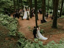 It's a great option if you want to remove the pressure of entertaining your guests for an entire day, and save money by reducing food requirements. Magical Forest Wedding Venues You Ll Want To Get Lost In