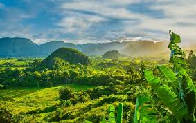 These cycles are important for the existence of living organisms. Cuba S Economic Isolation Protected Its Environment Scientific American