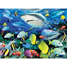 A coral reef is a beautiful underwater habitat. Junior Large Paint By Numbers Reef Shark Craftyarts Co Uk