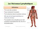 Systme lymphatique - Dfinition - Sant-Mdecine