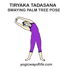 Tiryaka Tadasana Swaying Palm Tree Pose Yogic Way Of Life Tree Pose Easy Yoga Workouts Yoga Benefits