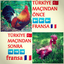 Goztepepostasi Turkiye Fransa Avant Apres Coq Equipedefrance Euro2020 Fransa Mac