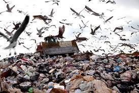 Top 25 Brutal Environmental Concerns That You Desperately Need To Know Conserve Energy Future