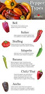 Pepper Types Find The Perfect Pepper Type For Your Garden And Palate Only At Www Burpee Com Stuffed Peppers Stuffed Sweet Peppers Nutrition Recipes