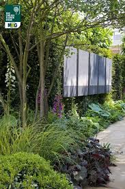 Rhs Chelsea Flower Show Show Garden Hoffnung Am Horizont Gesponsert Von David B Garten Gestaltung Garden Shrubs Chelsea Flower Show Chelsea Garden