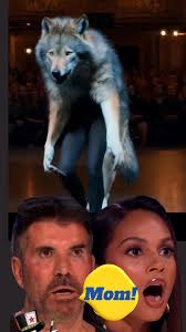 Americas Got Talent Animal Optical Illusion
