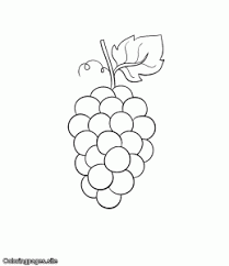 Grapes coloring page from grapes category. Best Fruits Coloring Pages Coloring Pages For Kids To Print For Free